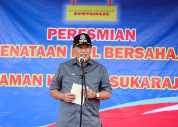 Wali Kota Bandung, Oded M. Danial