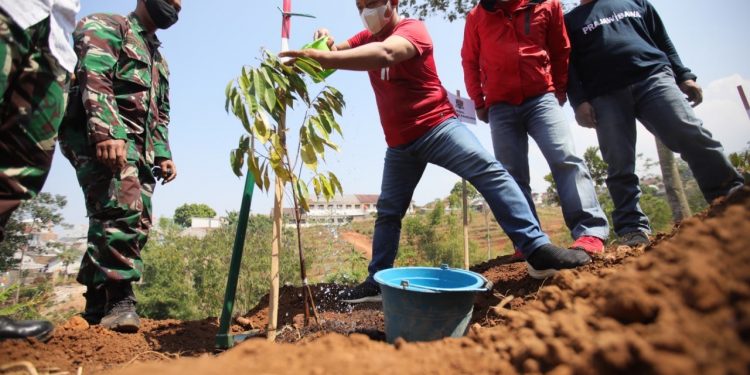 Wakil Wali Kota Bandung Yana Mulyana Lakukan penghijauan