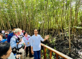 Presiden Jokowi menjelaskan 33 spesies (mangrove) yang di tanam