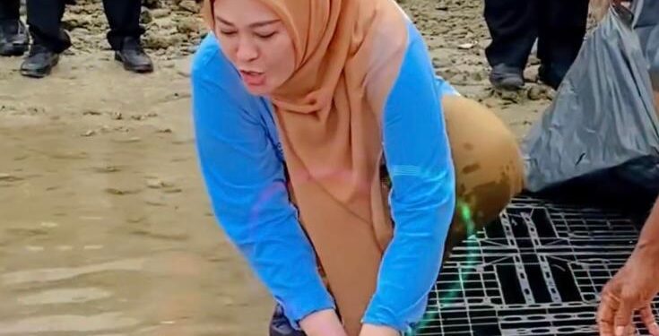 LEPAS PENYU-Bupati Pandeglang, Irna Narulita melepas induk penyu di pantai sekitar Tanjung Lesung, Rabu (7 Juni 2023). (Foto: Disparbud Kabupaten Pandeglang).