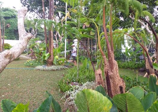 Fasilitas Ruang Terbuka Hijau (RTH) set dprd Jabar