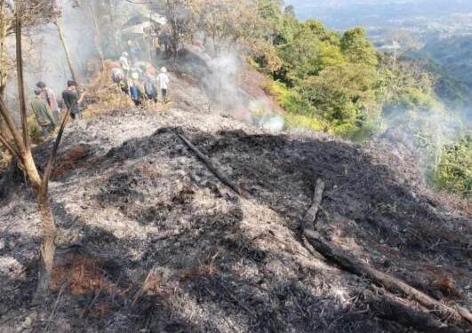 Kebakaran Hutan Gunung Salak Berhasil Dipadamkan