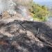 Kebakaran Hutan Gunung Salak Berhasil Dipadamkan
