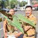 Sekretaris DPRD Jawa Barat Barnas Adjidin (kanan) secara simbolis menerima tanaman dari Kabag Umum   Sekretariat DPRD Jawa Barat Dodi Sukmayana (Humas DPRD Jawa Barat).