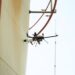 Image Drone Inspeksi Voliro T milik Halo Robotics (Sumber: VRITIMES.com)