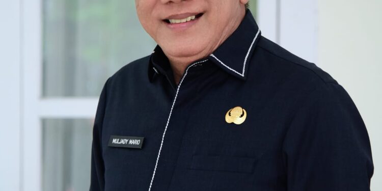 DR. Ir. Muljady Mario, Ketua Panitia Daerah Kadis Ketahanan Pangan, Tanaman Pangan dan Hortikultura. (Foto Ist).